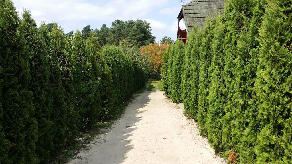 Wyspa Kampinos Brochów Exterior foto